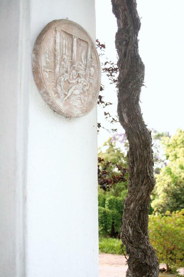 Mooiplaas Wine Estate Apartment Stellenbosch Bagian luar foto