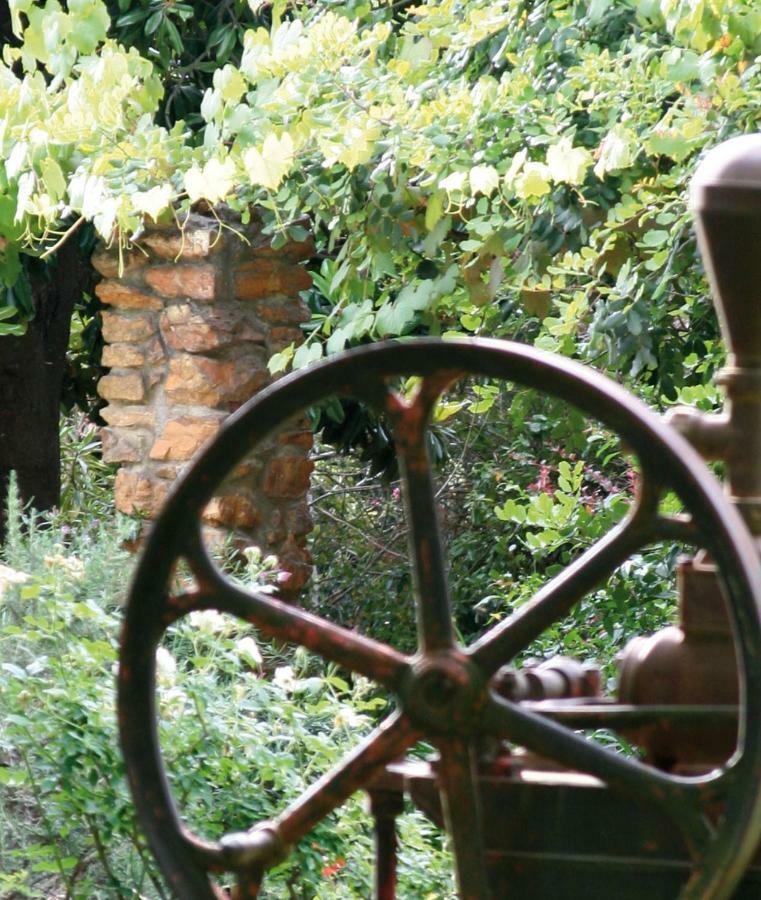 Mooiplaas Wine Estate Apartment Stellenbosch Bagian luar foto