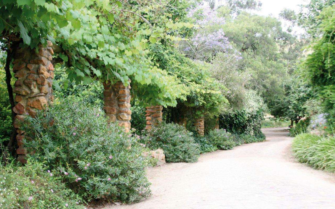 Mooiplaas Wine Estate Apartment Stellenbosch Bagian luar foto