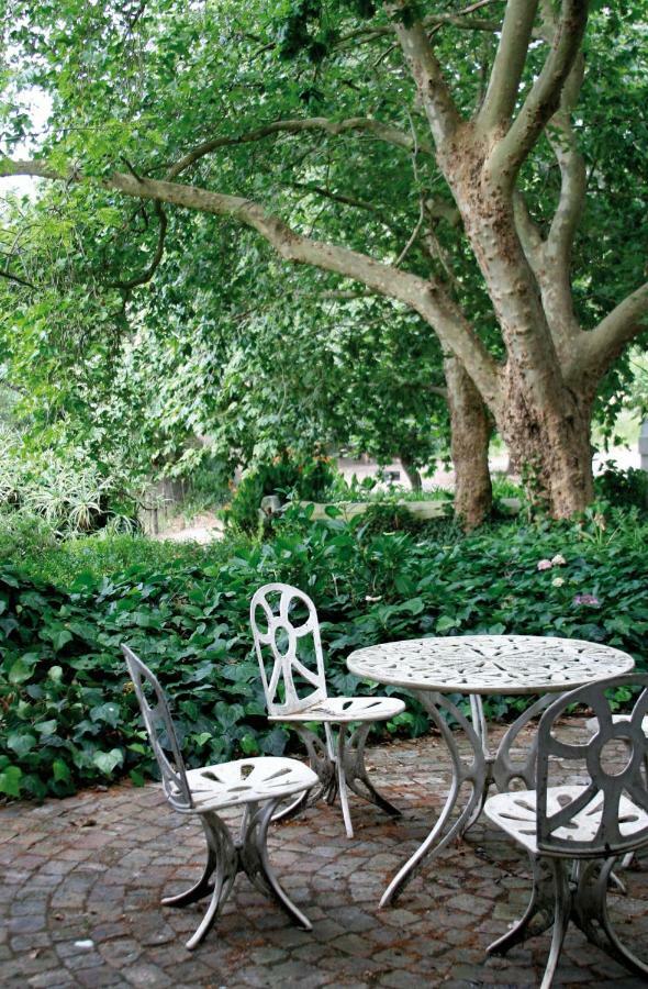Mooiplaas Wine Estate Apartment Stellenbosch Bagian luar foto