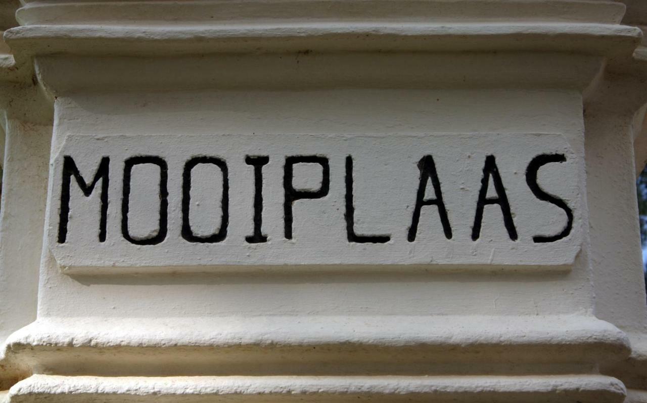 Mooiplaas Wine Estate Apartment Stellenbosch Bagian luar foto