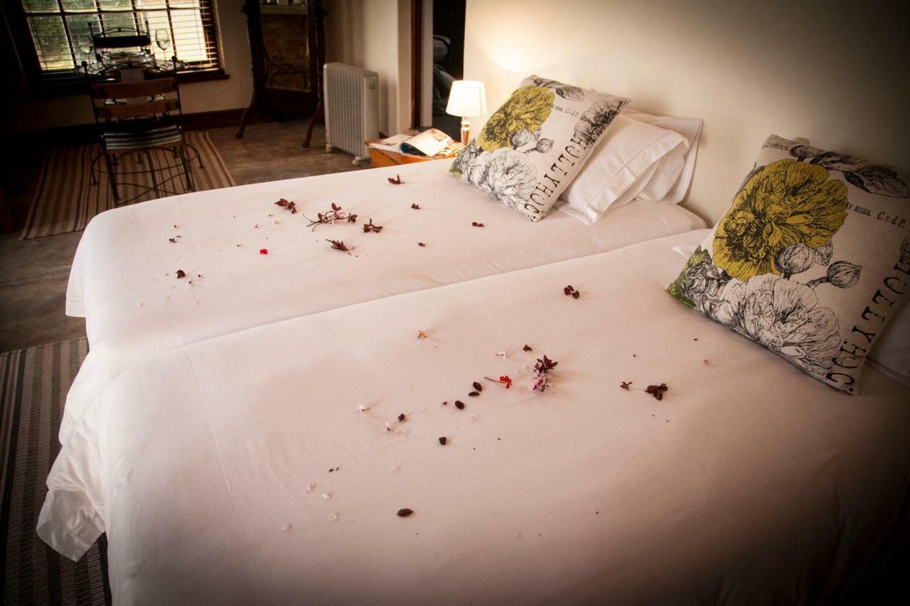 Mooiplaas Wine Estate Apartment Stellenbosch Bagian luar foto