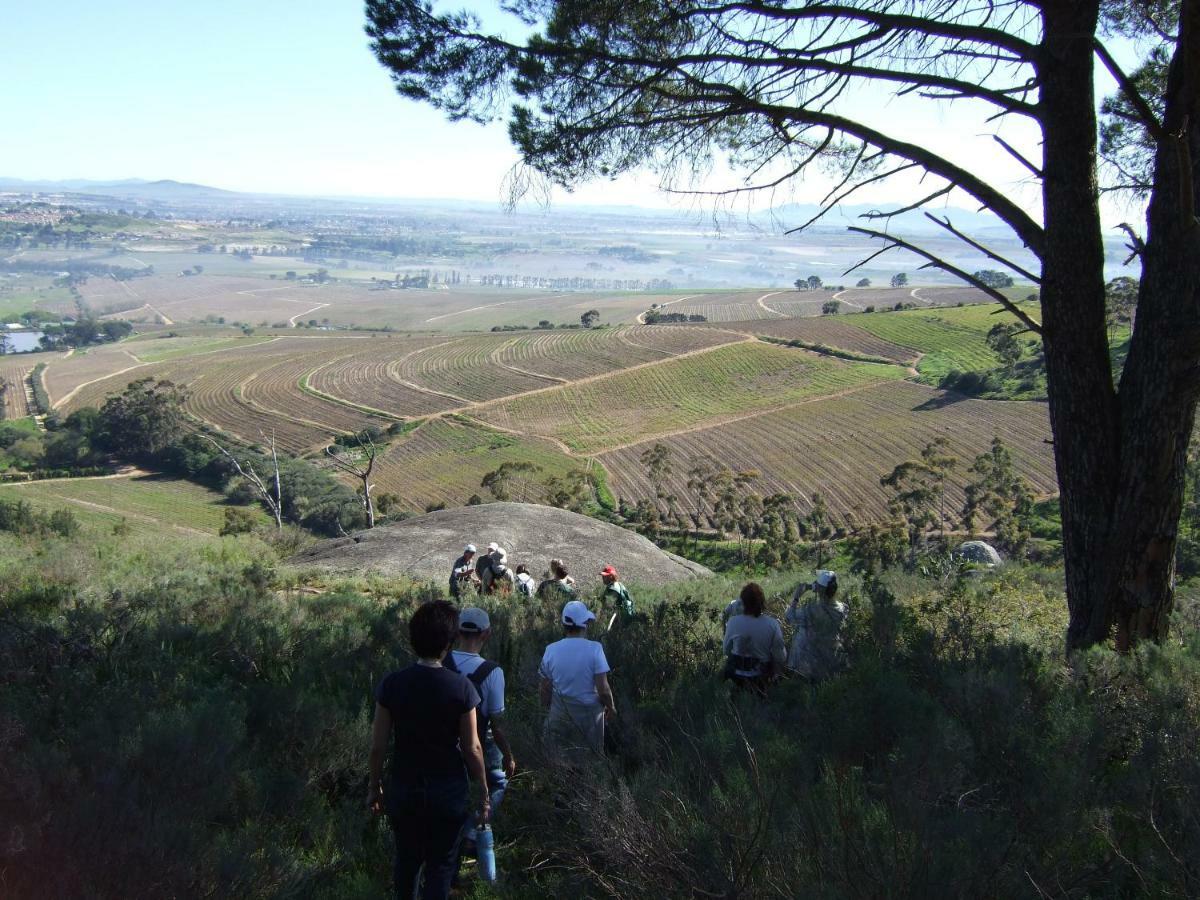 Mooiplaas Wine Estate Apartment Stellenbosch Bagian luar foto