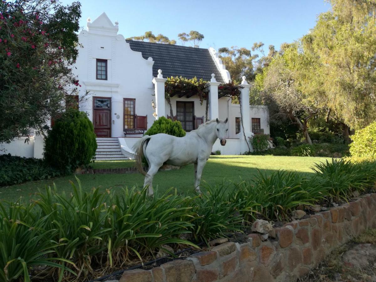 Mooiplaas Wine Estate Apartment Stellenbosch Bagian luar foto